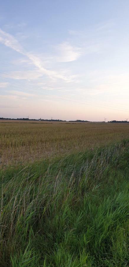 Hoddebuell Nah An Der Nordsee * Emmelsbull-Horsbull