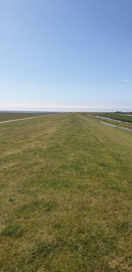 Hoddebuell Nah An Der Nordsee Emmelsbull-Horsbull