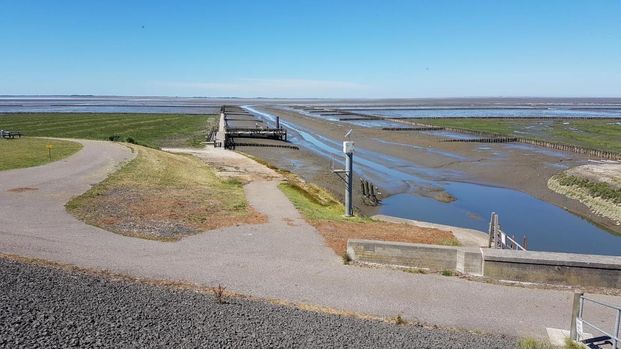 Hoddebuell Nah An Der Nordsee *